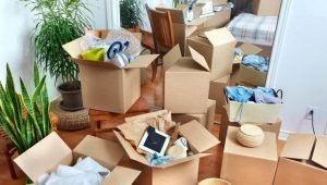 Household Relocation