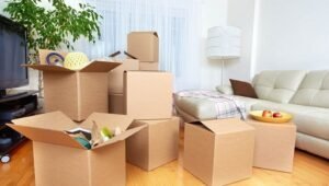 Packers and Movers Harbon Haryana