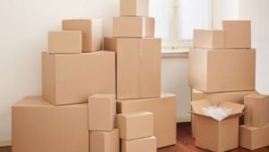 Packers and Movers Ibrahimpur Punjab