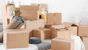 Packers and Movers Mahilpur Punjab