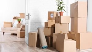 Packers and Movers Mukerian Punjab